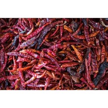 Natural Guntur Dry Red Chilli